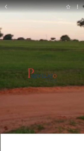 Imagem 11 de 14 de Te-8338 Terreno Em Área Nobre No Condomínio Riviera De Santa Cristina 2 - Te-8338