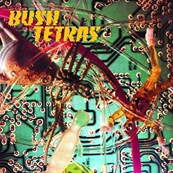 Bush Tertas There Is A Hum / Seven Years 7øø Vinilo