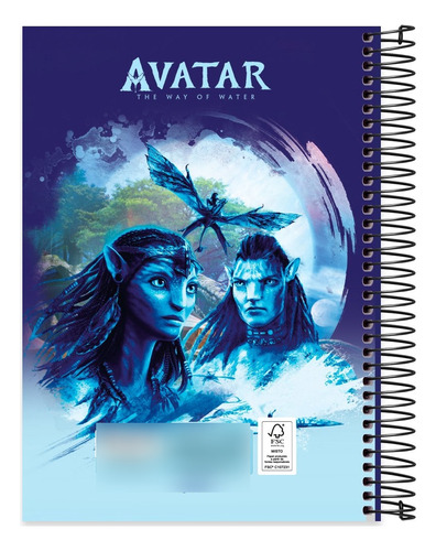 Caderno Capa Dura 10x1 160 Folhas Avatar The Way Of Water