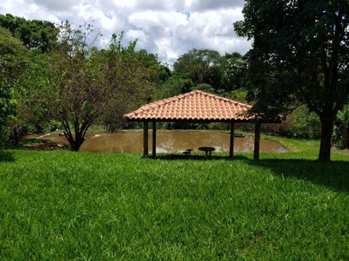 Sítio À Venda Em Cajuru/sp - St00117 - 69024431