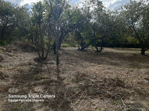 Imagem 11 de 13 de Você Não Pode Perder - Terrenos Com Pequena Entrada De 10mil