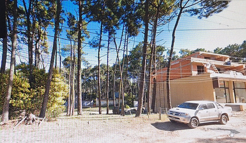 Venta Dos Lotes Únicos En Esquina, Comercial Y Multifamiliar, Con Hermosa Arboleda De Pinos