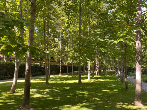 Amplio Depto Exclusivo Condominio Santa María De Manquehue