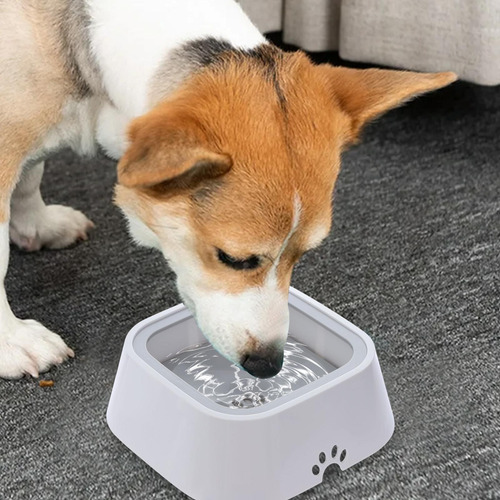 Cuenco De Agua Para Perros Sin Goteo Cuenco De Agua Para Per