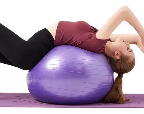 Pelota Pilates Esferodinamia 65 Cm Gimnasia Yoga Relax