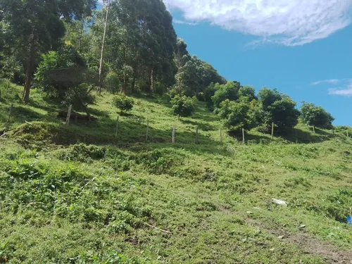 Finca Via Juntas - Ibagué