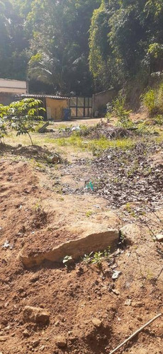 Imagem 7 de 10 de Terreno À Venda, 400 M² Por R$ 90.000 - Campo Grande - Rio De Janeiro/rj - Te0043