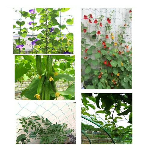 Red De Malla Para Plantas De Jardín, Polipropileno Verde