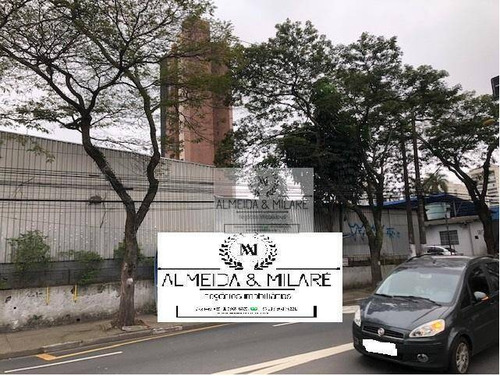 1.400 M² De Terreno Na Rua Catequese, Bairro Jardim, Santo André. Ótima Topografia. - Te0033