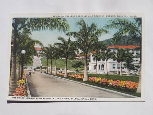   Panama Antigua Postal  The Prado, Balboa High School..