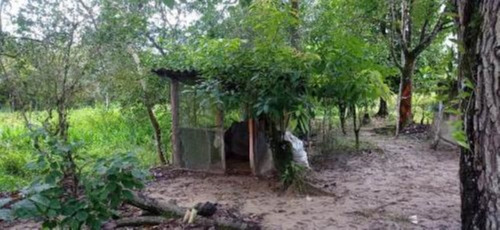 Imagem 14 de 25 de Chácara Com 50.000 M² De Área Total E Com Horta, Lago, Riacho, Pomar E Cozinha Caipira, No Bairro Gaivota, Em Itanhaém Ref: 9242/ac