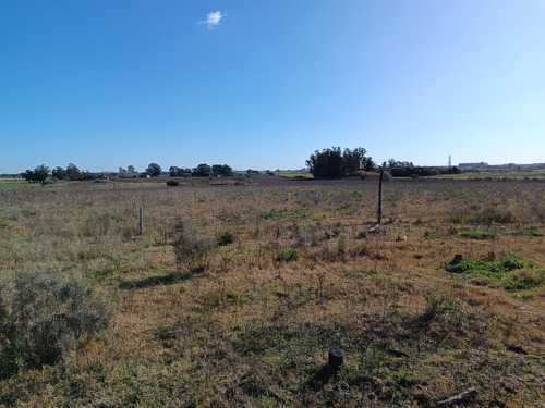 Vendo Muy Lindo Campo Con 2 Tajamares Para Riego, Alambrado, Pozos, Cañada, Monte, Financio Consulte