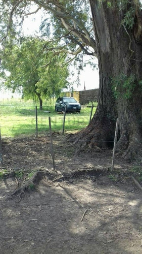 Imagen 9 de 15 de Venta Campo Mixto En Pergamino 27 Hectareas