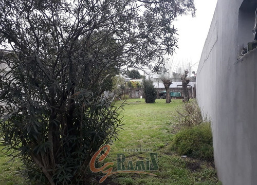 Imagen 3 de 3 de Lote Terreno En Venta 516m2 Diego De Rojas 300 Ituzaingo