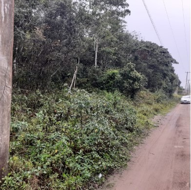 Terreno Perto Da Pista De 300 M² Em Itanhaém | Entrada 7 Mil