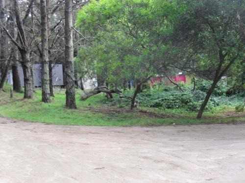 Imagen 4 de 6 de Lote Unifamiliar De 320 Mts - Mar Azul | Cod.0203 |