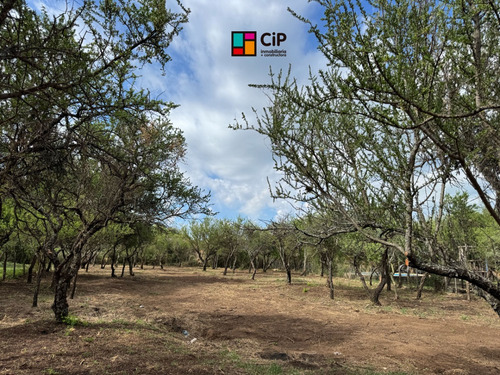 Venta De Lote Desmalezado En Carpintería