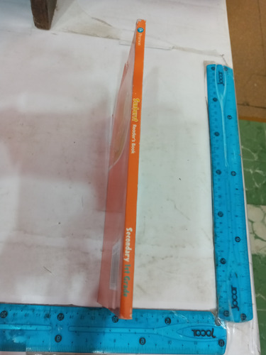 Sunburst 1 Secondary Readers Book Pearson (Usado)