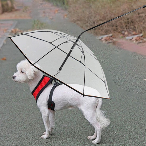 Paraguas Para Perros Con Correa Paraguas Para Mascotas Para
