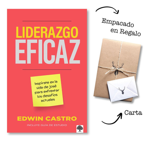 Liderazgo Eficaz - Edwin Castro