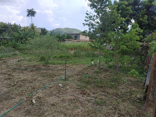 Imagen 3 de 3 de Terreno Frutal De 934m2 En Villas Del Toco