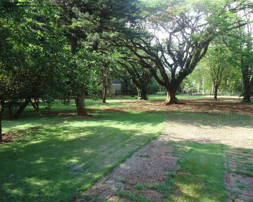 Imagem 30 de 30 de Area - Ar00001 - 2050852