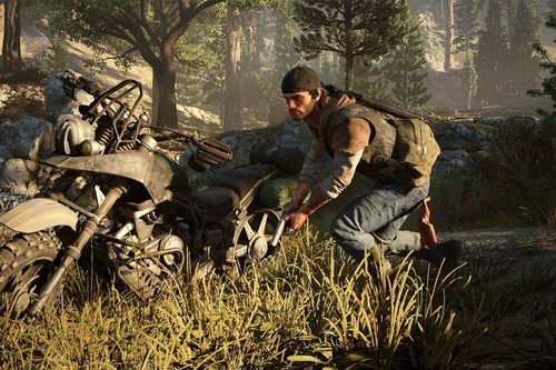 Imagen 8 de 10 de Days Gone Standard Edition Sony PS4 Físico