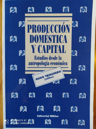 Producción Domestica Y Capital - Hugo Trinchero