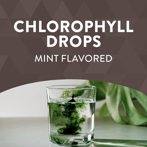 Nature's Way Chlorofresh Clorofila Extracto Líquido 59ml