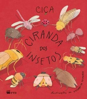 Livro Paradidático Ciranda Dos Insetos