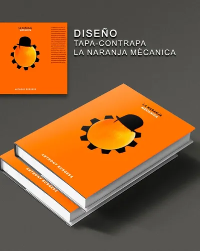 Técnico En Diseño Grafico Y Comunicación Visual