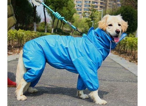 Capa Pet Chuva Capuz Cães Vermelha Ou Azul Raças Grande