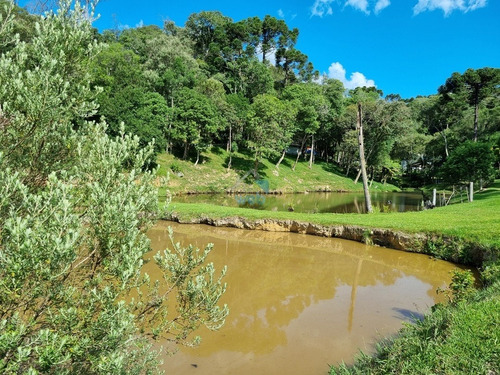 Imagem 18 de 30 de Linda Chacará Com Mais De 36.000 M², Situada Na Cidade De Quitandinha, Paraná. - Ch00019 - 70570203