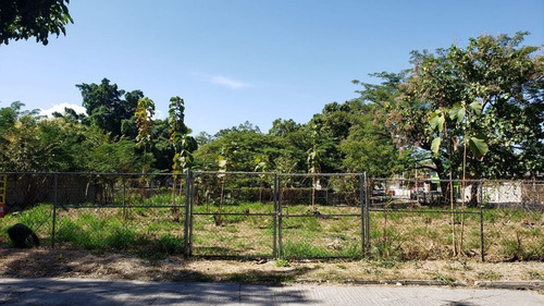 Imagen 1 de 4 de Terreno En Venta En La Col. Las Palmas