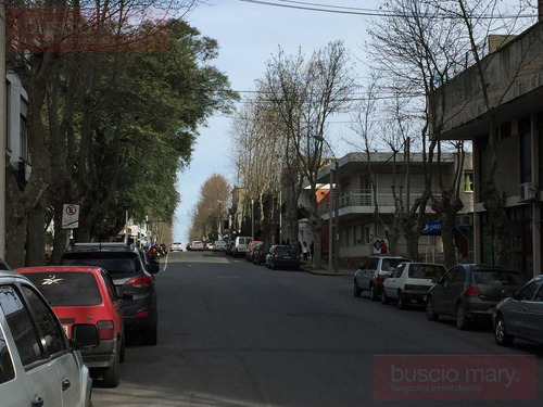 Imagen 17 de 20 de Local - Colonia Del Sacramento
