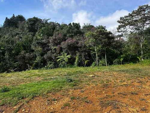 Lotes En Guarne Excelente Opción De Inversión