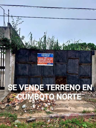 Terreno En Venta, Puerto Cabello, Cumboto Norte