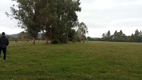 Vendo 3,56 Ha De Terreno, Especial Para Cultivo De Avellano,