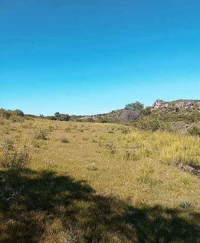 Imagen 13 de 15 de Campo Calmayo
