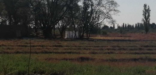 Imagen 9 de 10 de Finca 22 Hectarias En Colonia Elena San Rafael