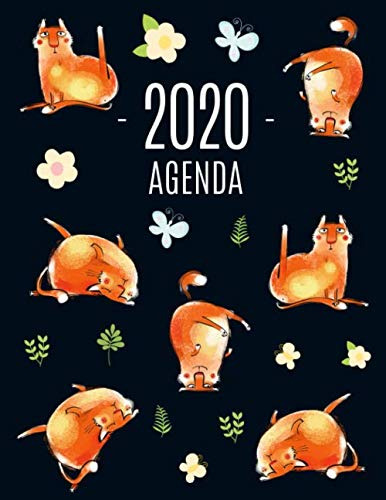 Gato Divertido Agenda 2020: Planificador Enero A Diciembre 2