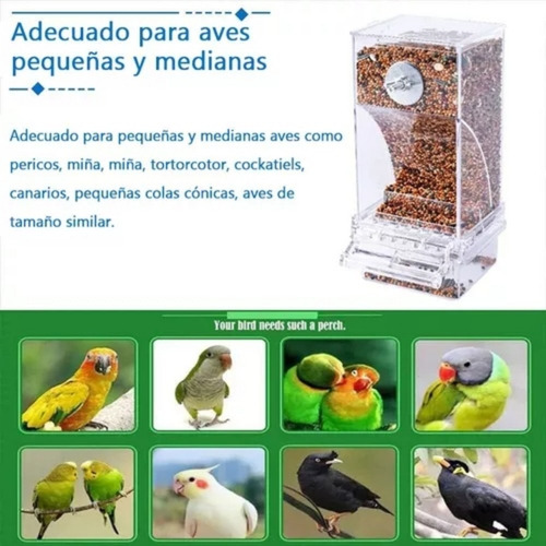 Automático Comedero Para Jaulas De Pájaros Acrílica