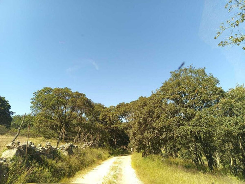 Terreno En Venta En Sierra De Lobos