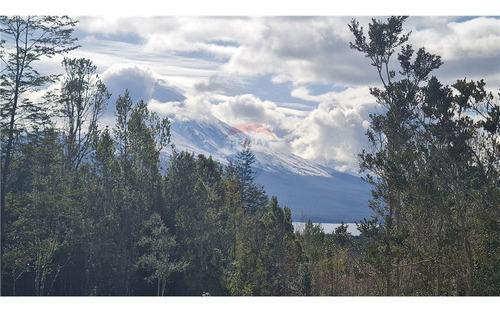 Parcela Con Bosque Nativo En Puerto Varas
