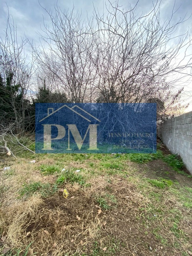 Loteo En Venta, Tapalqué / Vendido