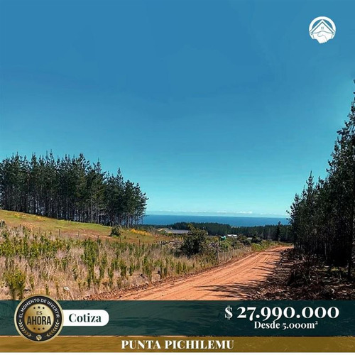 Compra Tranquilo Parcelas Con Rol Propio En Pichilemu 5000m2