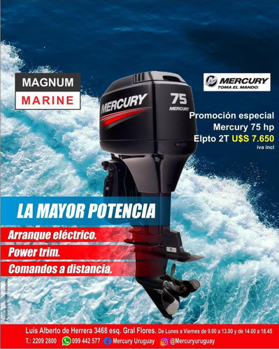 Motor Mercury Fuera Borda 75 Hp 2t Trim Comandos Garantia