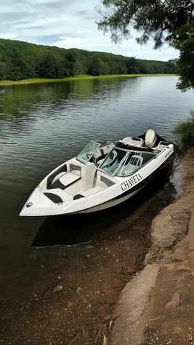 Lancha Map 480 2017 Evinrude 50 Etec
