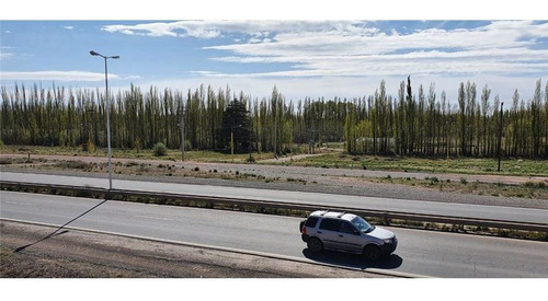 Imagen 5 de 30 de Terreno La Consuelo 499 Mts