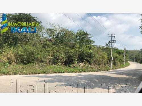 Imagen 7 de 12 de Terreno Industrial En Venta Independencia